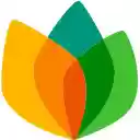 Fidelity Bloom℠ Shopping: Cash back rewards  screen for extension Chrome web store in OffiDocs Chromium
