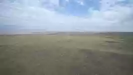 Free download Field Flight Nature -  free video to be edited with OpenShot online video editor