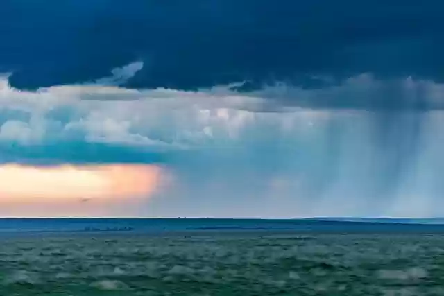 Free download field game reserve rain safari free picture to be edited with GIMP free online image editor