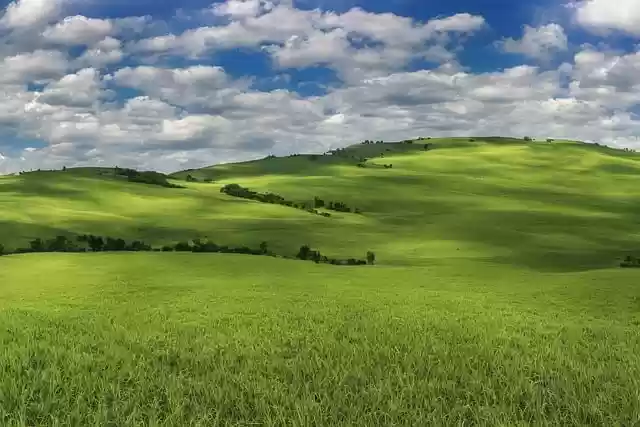 Free download field grass plain sky clouds free picture to be edited with GIMP free online image editor