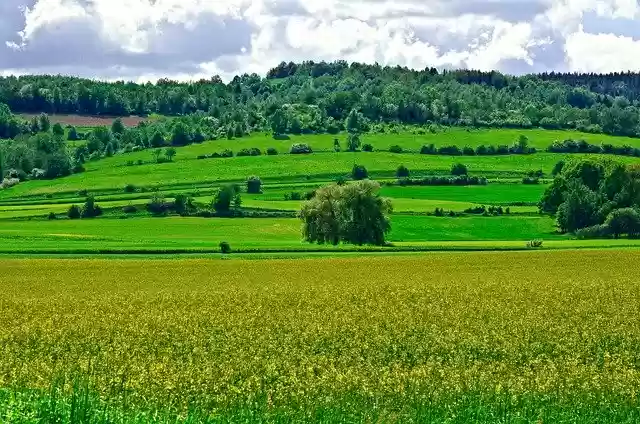 ດາວ​ໂຫຼດ​ຟຣີ​ພາກ​ສະ​ຫນາມ​ພູ​ເຂົາ​ພູມ​ສັນ​ຖານ​ທໍາ​ມະ​ຊາດ​ພາກ​ຮຽນ spring ຮູບ​ຟຣີ​ທີ່​ຈະ​ໄດ້​ຮັບ​ການ​ແກ້​ໄຂ​ທີ່​ມີ GIMP ບັນນາທິການ​ຮູບ​ພາບ​ອອນ​ໄລ​ນ​໌​ຟຣີ​