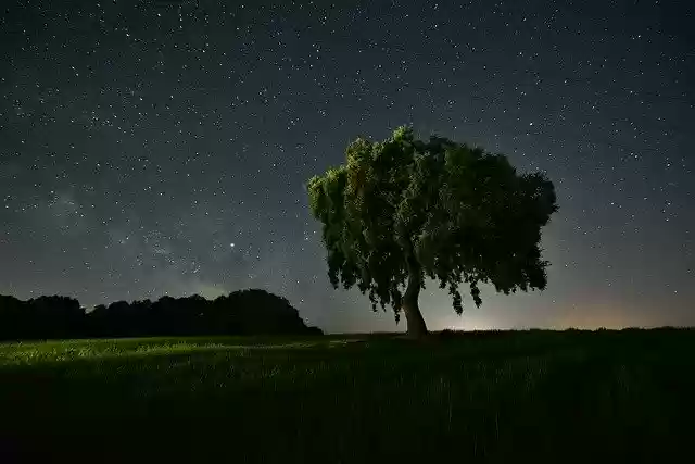 Free download Field Night Star -  free photo or picture to be edited with GIMP online image editor