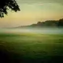 Field of grass and bones  screen for extension Chrome web store in OffiDocs Chromium