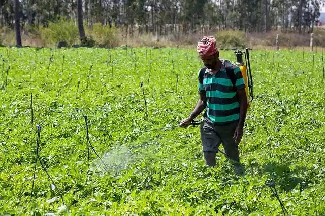 Free download field plantation agriculture man free picture to be edited with GIMP free online image editor