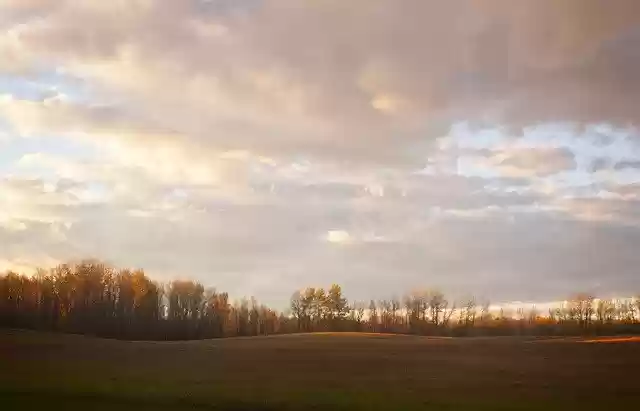 Free download Field Sky Forest -  free photo or picture to be edited with GIMP online image editor