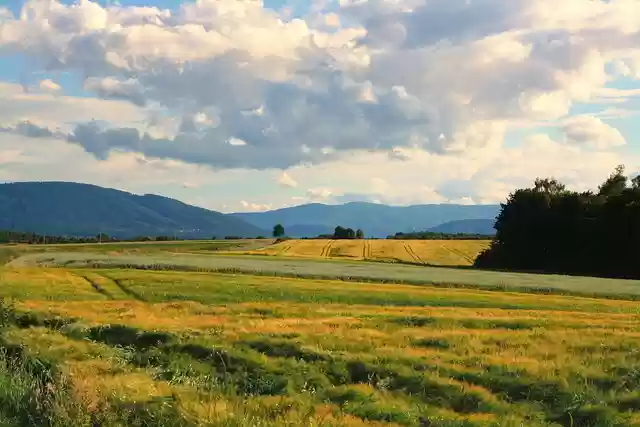 Free download fields mountains meadow summer free picture to be edited with GIMP free online image editor