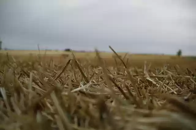 Free download Field Straw Mowing free photo template to be edited with GIMP online image editor