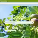 Fig Tree  screen for extension Chrome web store in OffiDocs Chromium