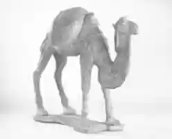 Free download Figure of a Camel free photo or picture to be edited with GIMP online image editor