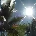 Fiji  screen for extension Chrome web store in OffiDocs Chromium