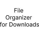 File Organizer for Downloads  screen for extension Chrome web store in OffiDocs Chromium