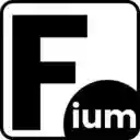 Filerium  screen for extension Chrome web store in OffiDocs Chromium