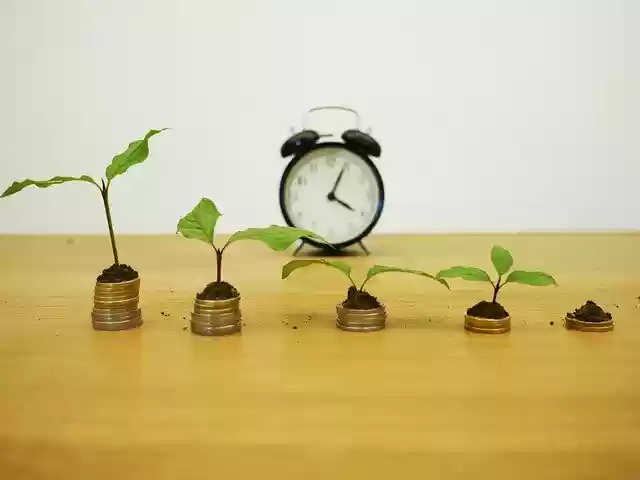 Free download Finance Growth Credit -  free photo or picture to be edited with GIMP online image editor