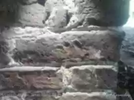 Free download Fingerprints of Enslaved African Americans in the Bricks of the Lowcountry free photo or picture to be edited with GIMP online image editor