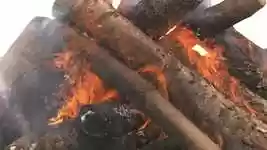 Free download Fire Campfire Bonfire -  free video to be edited with OpenShot online video editor