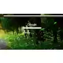 Firefly Forest  screen for extension Chrome web store in OffiDocs Chromium