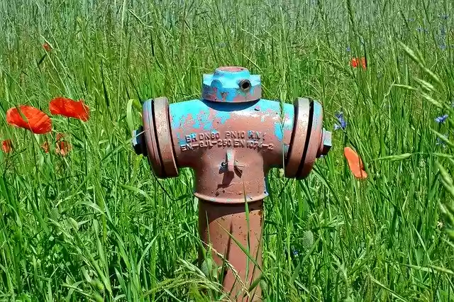 Free download Fire Hydrant Meadow Grass -  free free photo or picture to be edited with GIMP online image editor