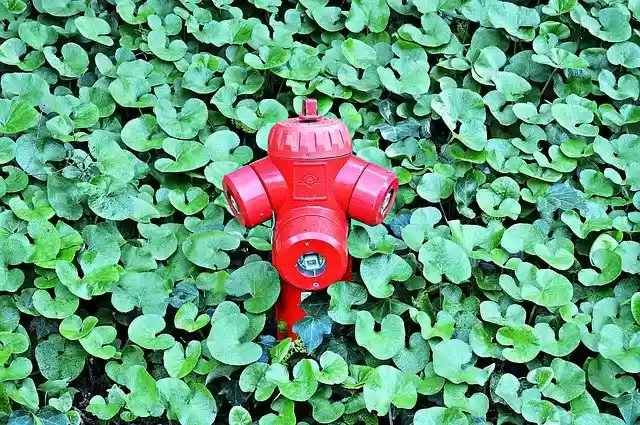 Free download Fire Hydrant Water Fighting -  free photo or picture to be edited with GIMP online image editor