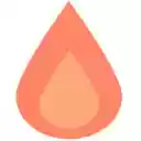 firepapers: после прочтения сжечь  screen for extension Chrome web store in OffiDocs Chromium