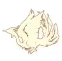 Free download Fire Phoenix Dragon Symbol free photo or picture to be edited with GIMP online image editor