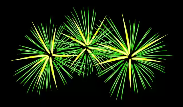 Free download Fireworks Festive Green - Free vector graphic on Pixabay free illustration to be edited with GIMP free online image editor
