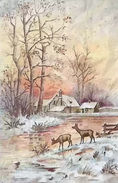 Free download First Snow Of The Season Outdoor -  free illustration to be edited with GIMP online image editor