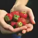 First strawberries of the season  screen for extension Chrome web store in OffiDocs Chromium