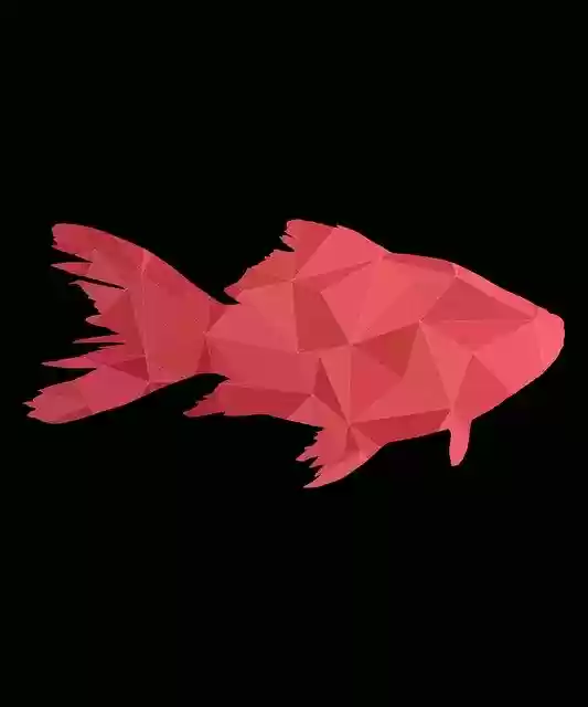 Free download Fish Fisher Master -  free illustration to be edited with GIMP free online image editor