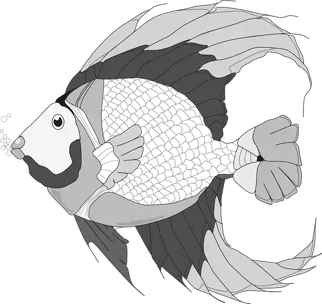 Free download Fish Illustration Black And - Free vector graphic on Pixabay free illustration to be edited with GIMP free online image editor