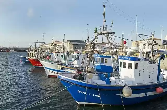 Free download Fishing Boats Spain Harbor -  free photo or picture to be edited with GIMP online image editor