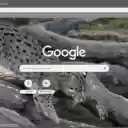 Fishing Cat  screen for extension Chrome web store in OffiDocs Chromium