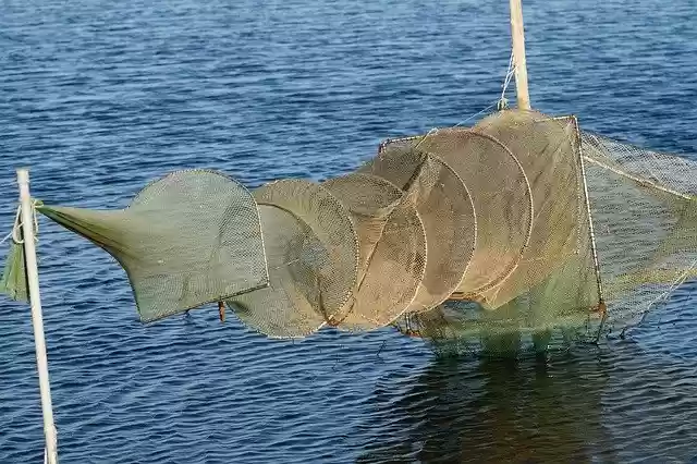 Free download Fishing Net Web -  free photo or picture to be edited with GIMP online image editor