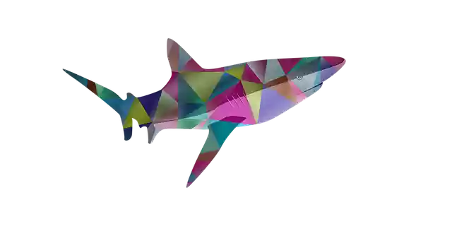 Free download Fishing Types Of -  free illustration to be edited with GIMP free online image editor