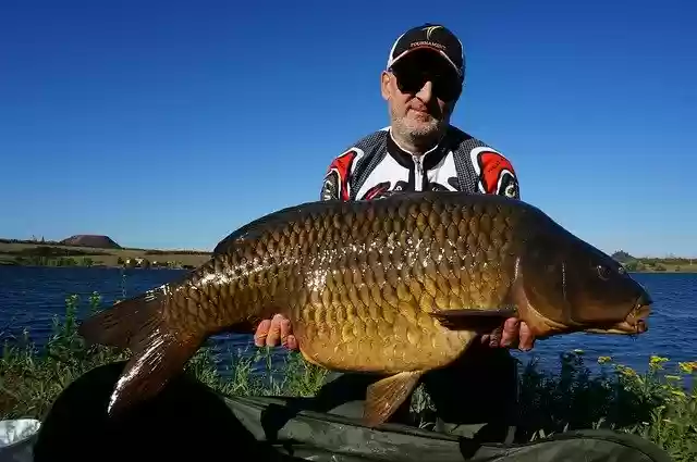 Free download Fishing Vacation Lake -  free photo or picture to be edited with GIMP online image editor