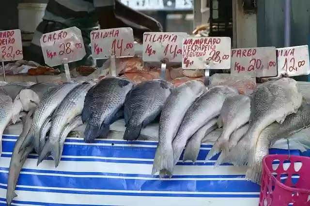 Libreng download Fish Market Food libreng template ng larawan na ie-edit gamit ang GIMP online na editor ng imahe