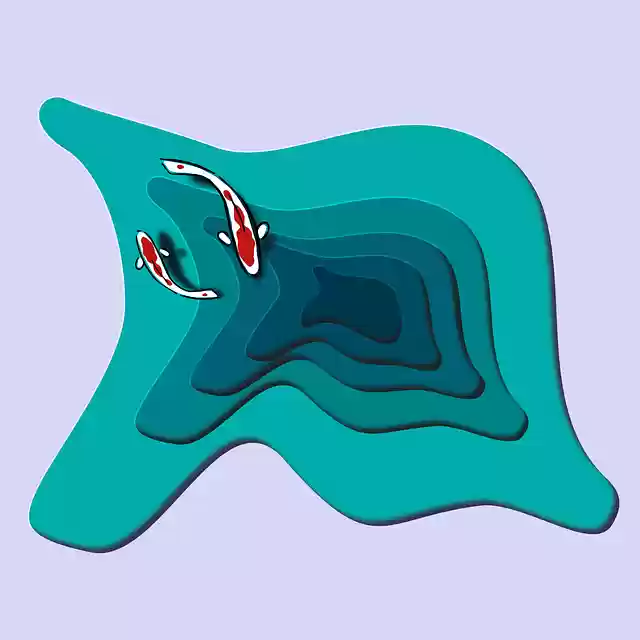 Free download Fish Pond Koi Carp - Free vector graphic on Pixabay free illustration to be edited with GIMP free online image editor