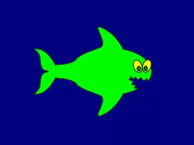 Free download Fish Predator Sea -  free illustration to be edited with GIMP free online image editor