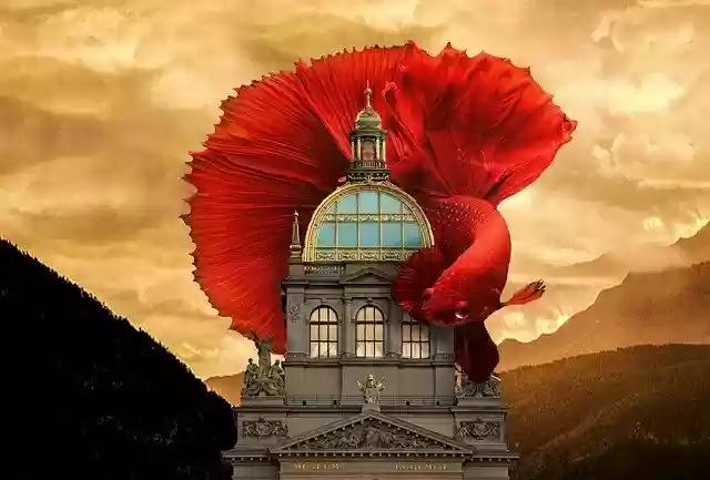 Free download Fish Red -  free photo or picture to be edited with GIMP online image editor