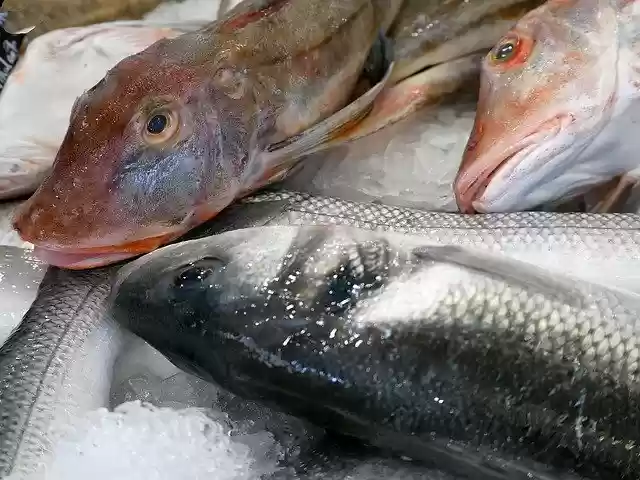 Free download Fish Stall Market -  free photo or picture to be edited with GIMP online image editor