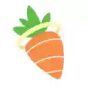 Fitalyst Dash Browser Extension  screen for extension Chrome web store in OffiDocs Chromium