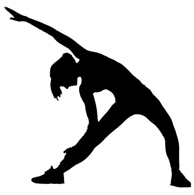 Free download Fitness Gymnastics The Exercises -  free illustration to be edited with GIMP free online image editor