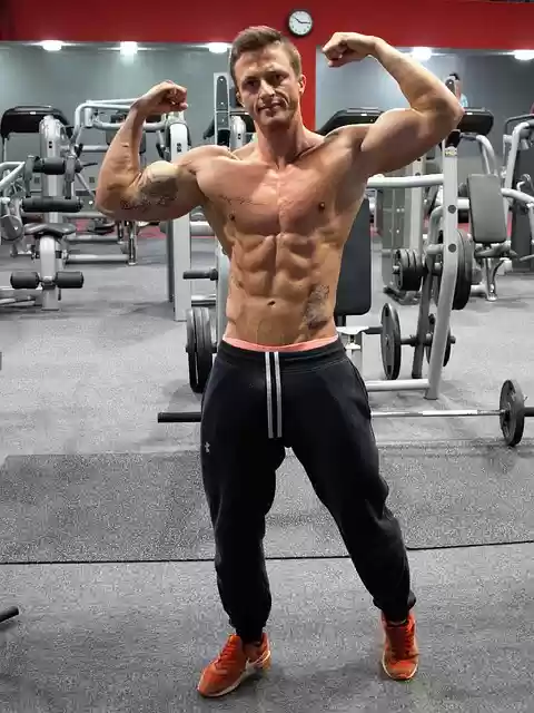 Free download fitness strengthening muscles man free picture to be edited with GIMP free online image editor