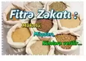 Free download fitre free photo or picture to be edited with GIMP online image editor