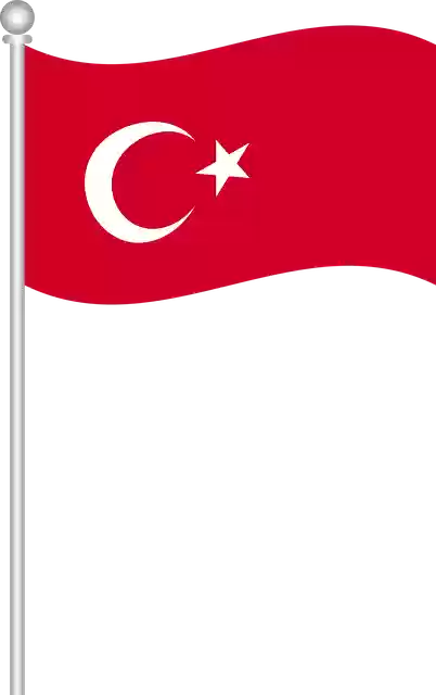 Free download Flag Of Turkey Turkish World - Free vector graphic on Pixabay free illustration to be edited with GIMP free online image editor