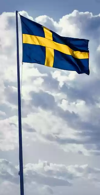 Free download flag sweden swedish flag day free picture to be edited with GIMP free online image editor