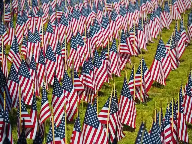 Free download Flag Usa Patriotic -  free photo or picture to be edited with GIMP online image editor