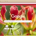 Flame Lily  screen for extension Chrome web store in OffiDocs Chromium
