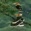 flamingo wallpaper  screen for extension Chrome web store in OffiDocs Chromium