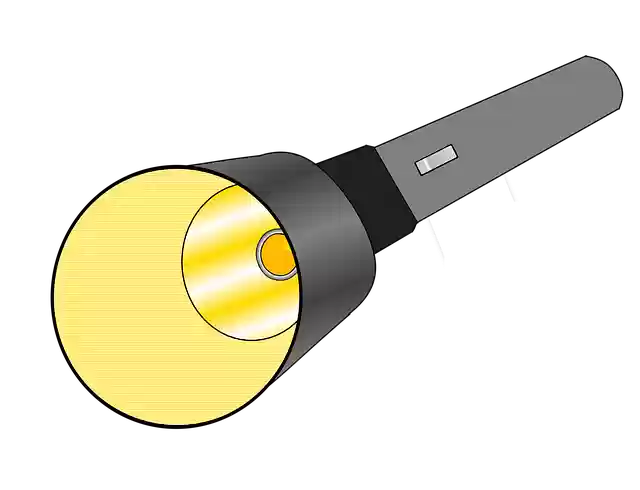 Free download Flashlight Light Lighting -  free illustration to be edited with GIMP free online image editor