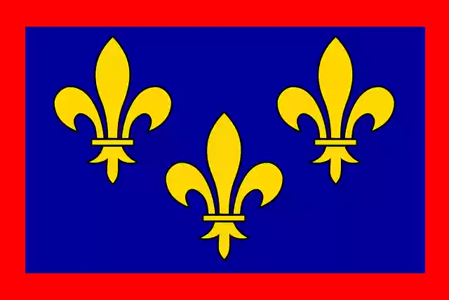 Free download Fleur-De-Lis Heraldry Rectangle - Free vector graphic on Pixabay free illustration to be edited with GIMP free online image editor
